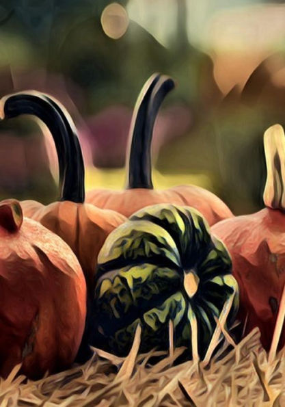 Halloween Activity Book (Halloween Journals) - 9781723990755