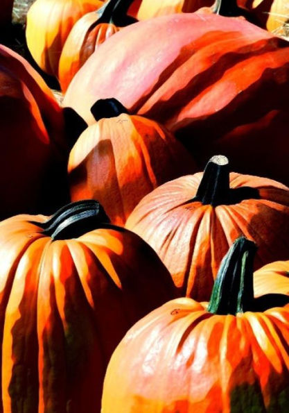 Halloween Activity Book (Halloween Journals) - 9781723990939