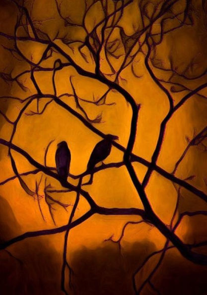 Halloween Activity Book (Halloween Journals) - 9781723992223