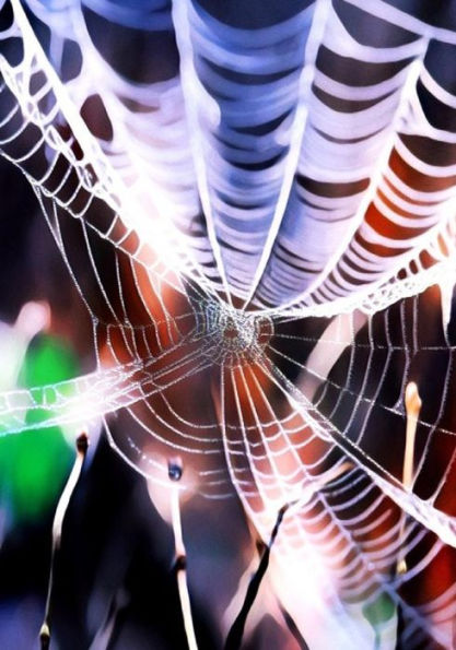 Halloween Activity Book (Halloween Journals) - 9781723992926