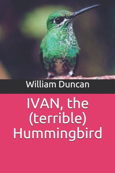 IVAN: the terrible hummingbird