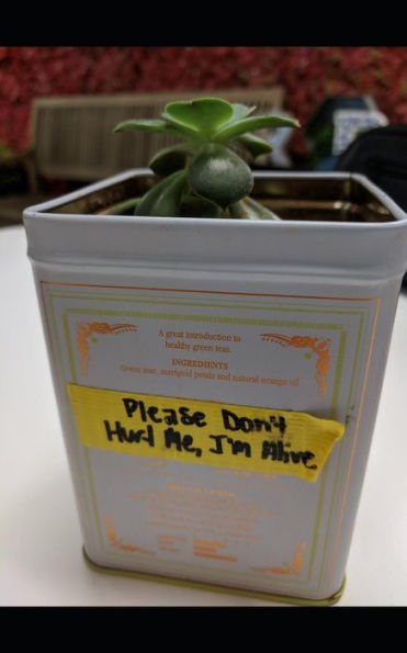 I'm Alive - 9781724168085