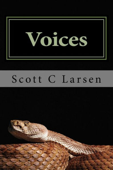 Voices - 9781724919878