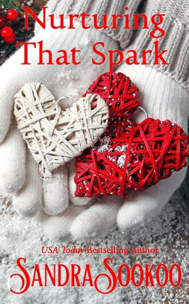 Nurturing That Spark : A Christmas Romance