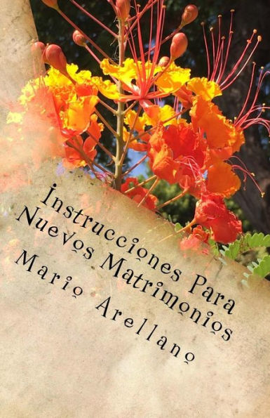Instrucciones Para Nuevos Matrimonios: Una Relacion Feliz (Spanish Edition)