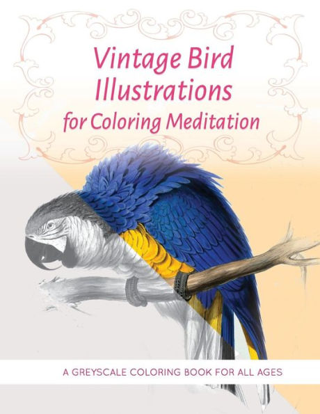 Vintage Bird Illustrations For Coloring Meditation : A Greyscale Coloring Book For All Ages