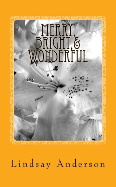 Merry, Bright,& Wonderful : A Beverly Black Novel