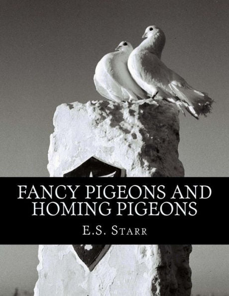 Fancy Pigeons and Homing Pigeons