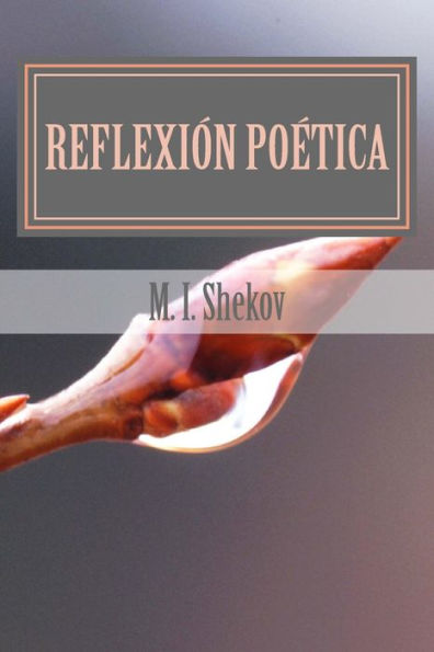 Reflexion Poetica