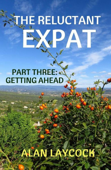 The Reluctant Expat : Part Three - Getting Ahead