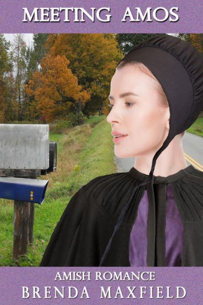 Amish Romance: Meeting Amos (Rebecca's Story)