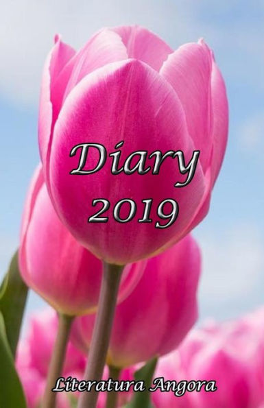 Diary 2019 - 9781726709736