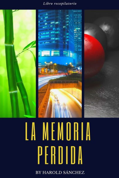 La Memoria Perdida: Libro Recopilatorio (Spanish Edition)