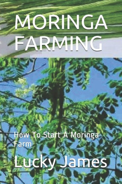 Moringa Farming : How To Start A Moringa Farm