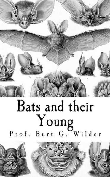Bats and their Young