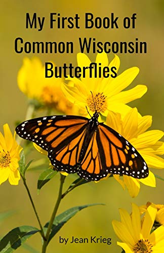 My First Book Of Common Wisconsin Butterflies
