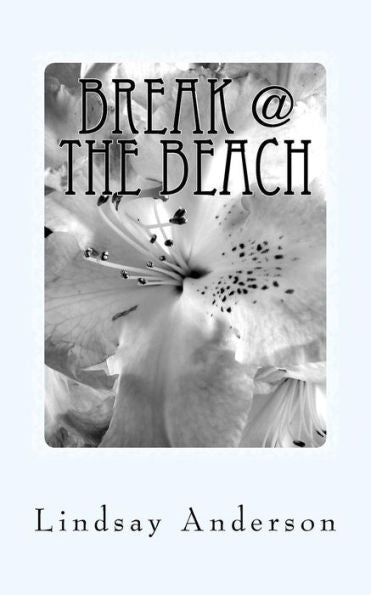 Break @ The Beach: An Everly Brown Novel