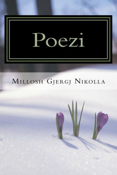 Poezi - 9781727540185