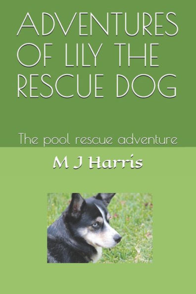 ADVENTURES OF LILY THE RESCUE DOG: The pool rescue adventure