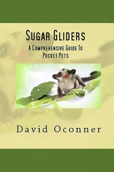 Sugar Gliders - 9781728953588