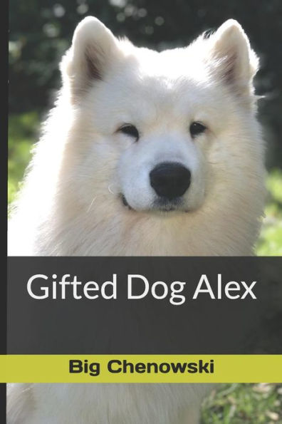 Gifted Dog Alex