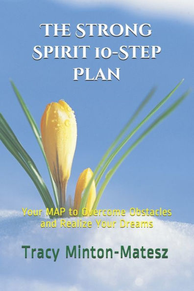 The Strong Spirit Self-Empowerment Plan : Your Map To Consciously & Effectively Create Your Most Illuminated Life