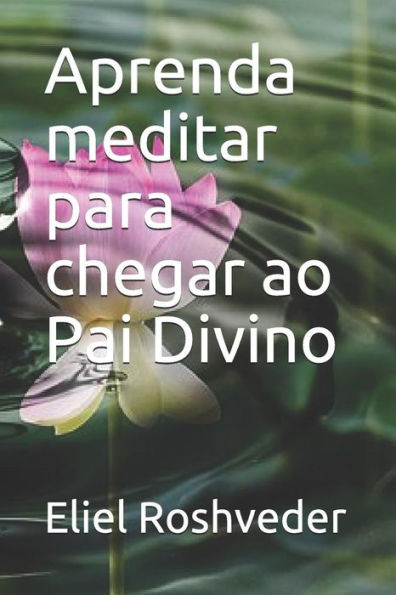 Aprenda meditar para chegar ao Pai Divino (Portuguese Edition)