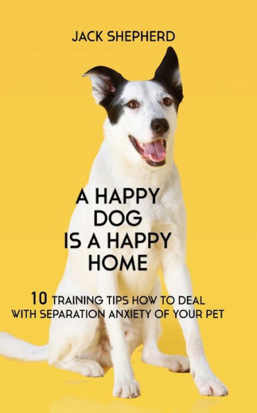 A Happy Dog Is A Happy Home: 10 Training Tips How To Deal With Separation Anxiety Of Your Pet