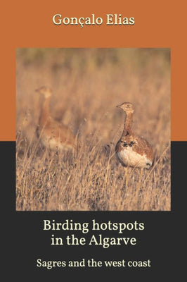 Birding hotspots in the Algarve: Sagres and the west coast