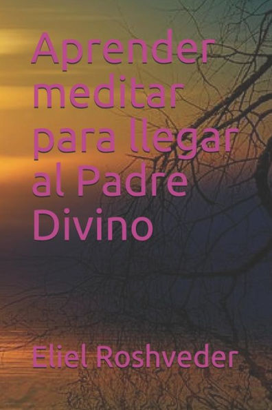 Aprender meditar para llegar al Padre Divino (Spanish Edition)