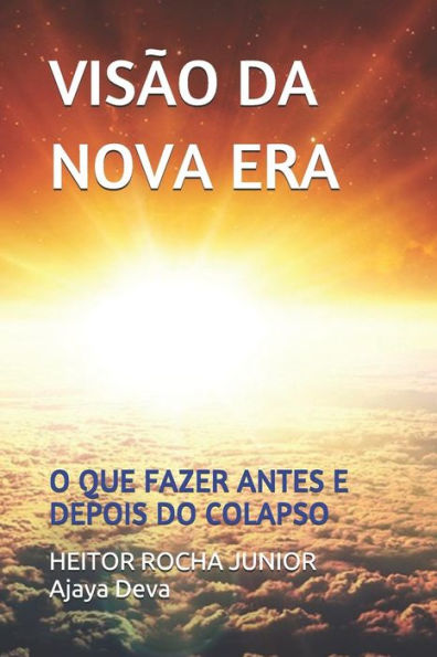 Visão Da Nova Era : O Que Fazer Antes E Depois Do Colapso