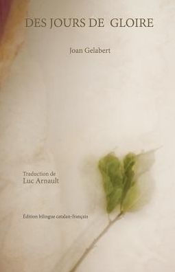 Des jours de gloire (French Edition)