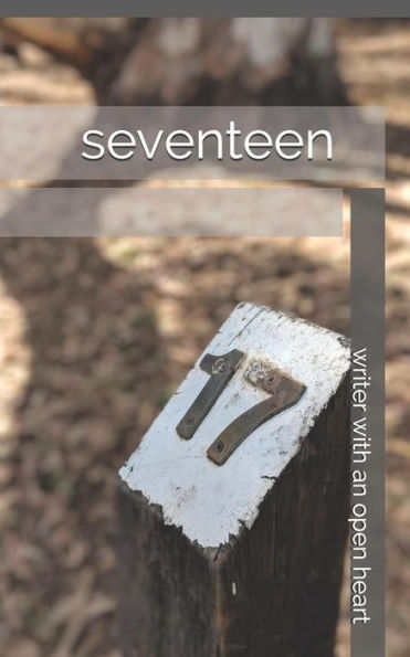 Seventeen - 9781731499783