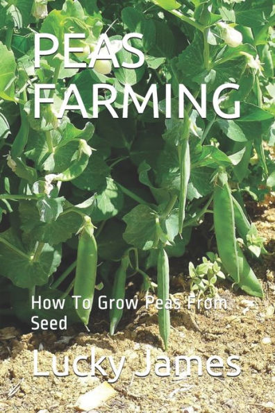 Peas Farming : How To Grow Peas From Seed