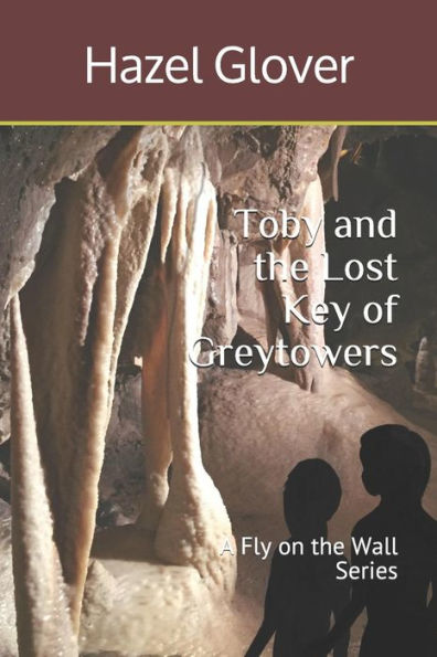 Toby And The Lost Key Of Greytowers : A Fly On The Wall Series