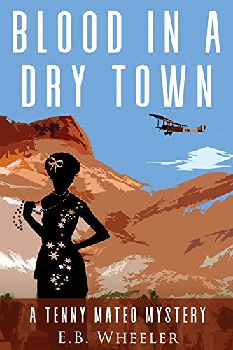 Blood in a Dry Town : A Tenny Mateo Mystery