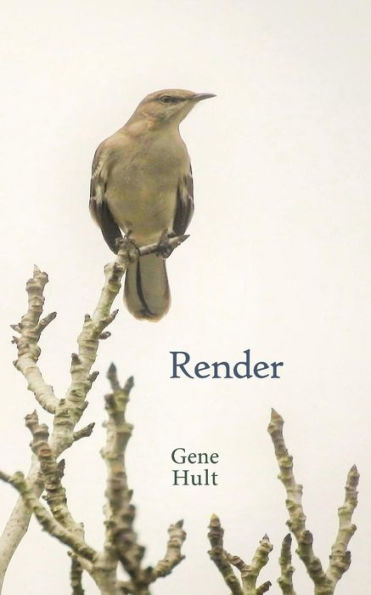 Render - 9781732338142
