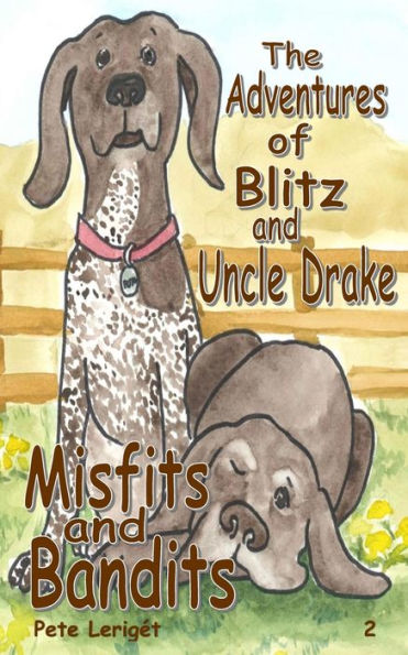 Misfits And Bandits
