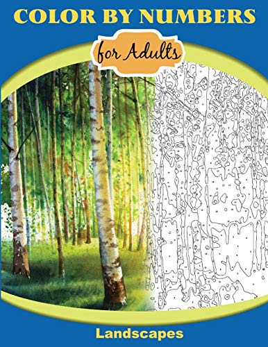 Color by Numbers for Adults : Landscapes: Extreme Color by Numbers - Intermediate to Advanced