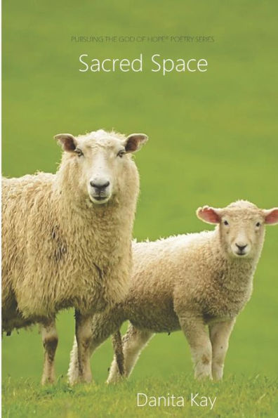 Sacred Space - 9781733577007