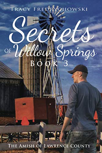 Secrets Of Willow Springs - Book 3: The Amish Of Lawrence County