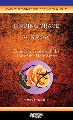 Finding Grace in Sorrow : Enduring Trials with the Joy of the Holy Spirit