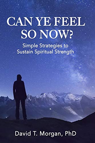 Can Ye Feel So Now? : Simple Strategies to Sustain Spiritual Strength