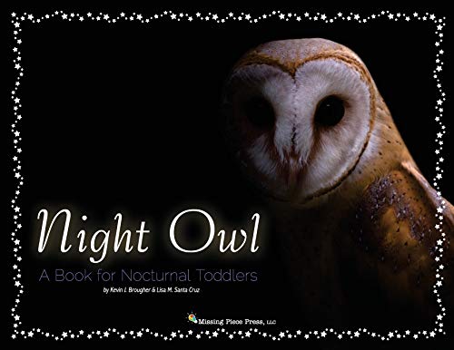 Night Owl: A Book for Nocturnal Toddlers