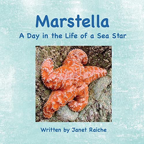 Marstella : A Day in the Life of a Sea Star