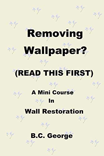 Removing Wallpaper? (READ THIS FIRST) a Mini Course in Wall Restoration