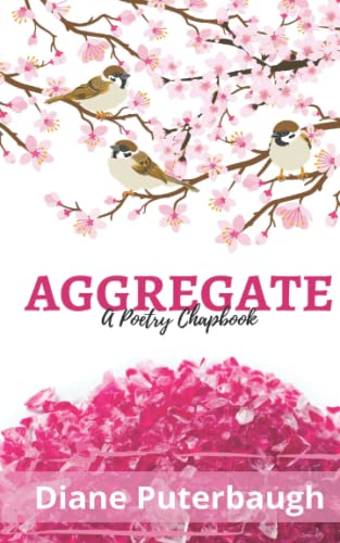 Aggregate: A Poetry Chapbook