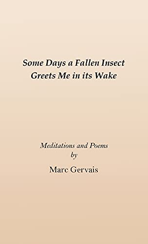 Some Days A Fallen Insect Greets Me In Its Wake: Meditations And Poems - 9781737656845
