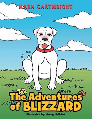 The Adventures Of Blizzard