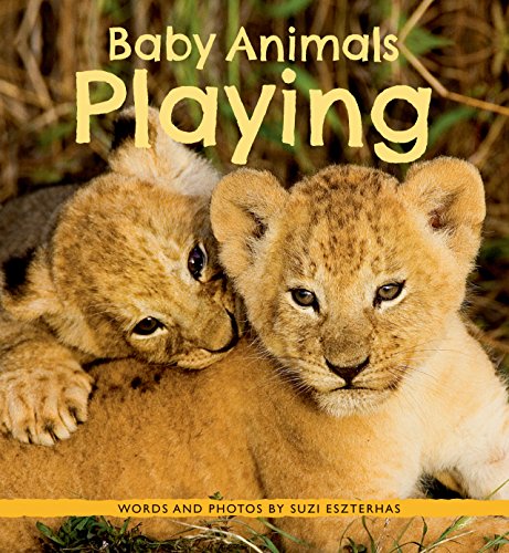 Baby Animals Playing (Baby Animals, 1)